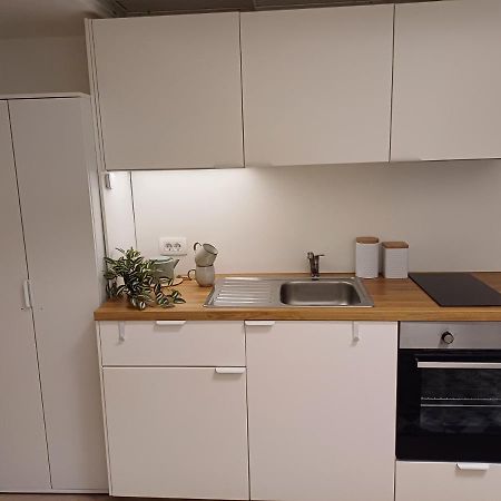 Apartment Afrodita 卢布尔雅那 外观 照片