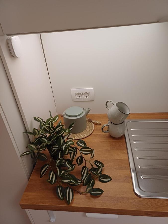 Apartment Afrodita 卢布尔雅那 外观 照片