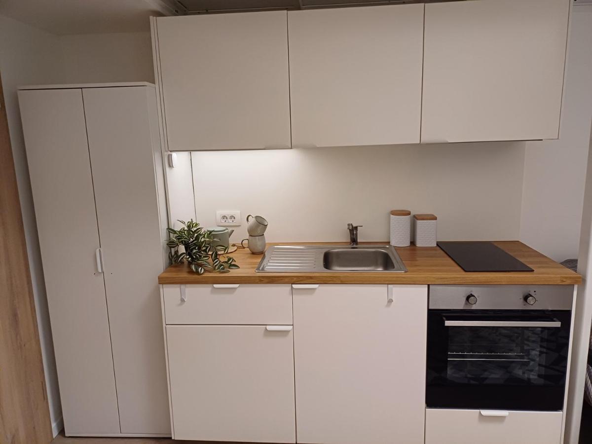 Apartment Afrodita 卢布尔雅那 外观 照片